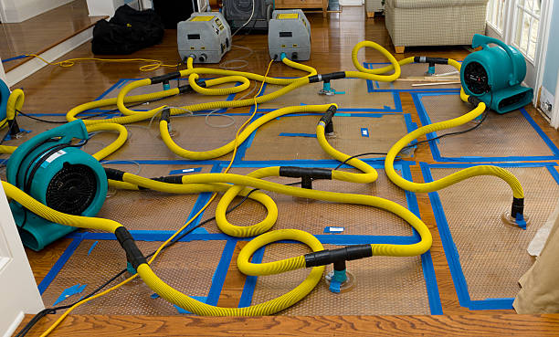 Professional Water Damage Repair technician working in Oregonia, OH